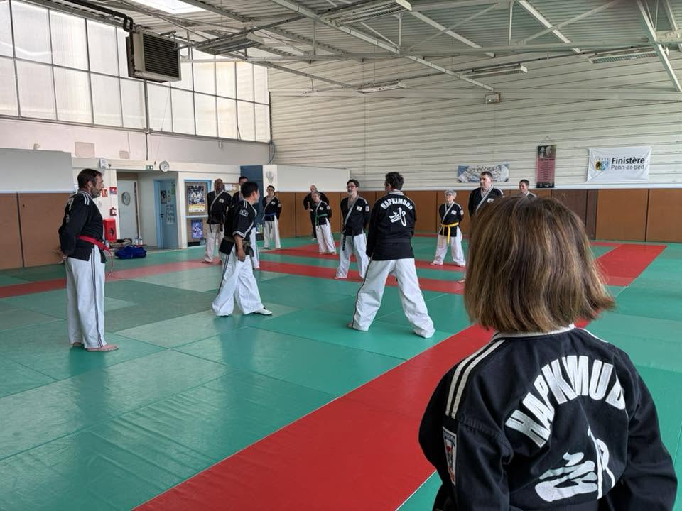 Stage hapkido à Douarnenez avec Me Lee 23 & 24 mai 2026