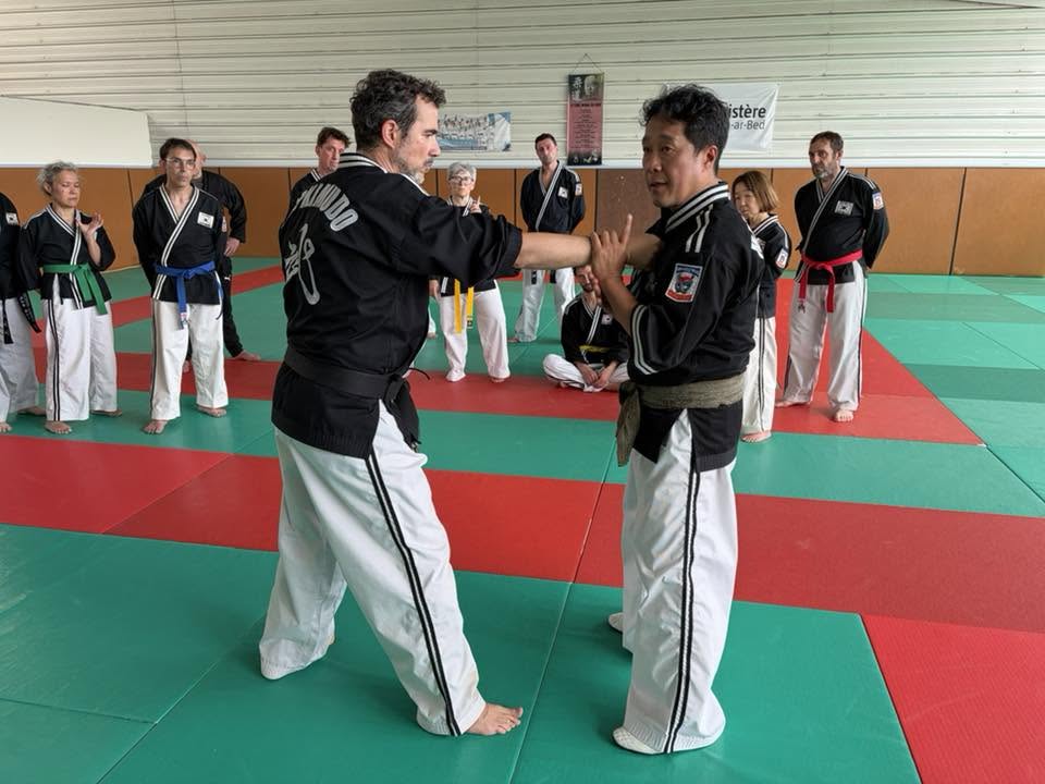 Stage hapkido à Douarnenez avec Me Lee 23 & 24 mai 2026