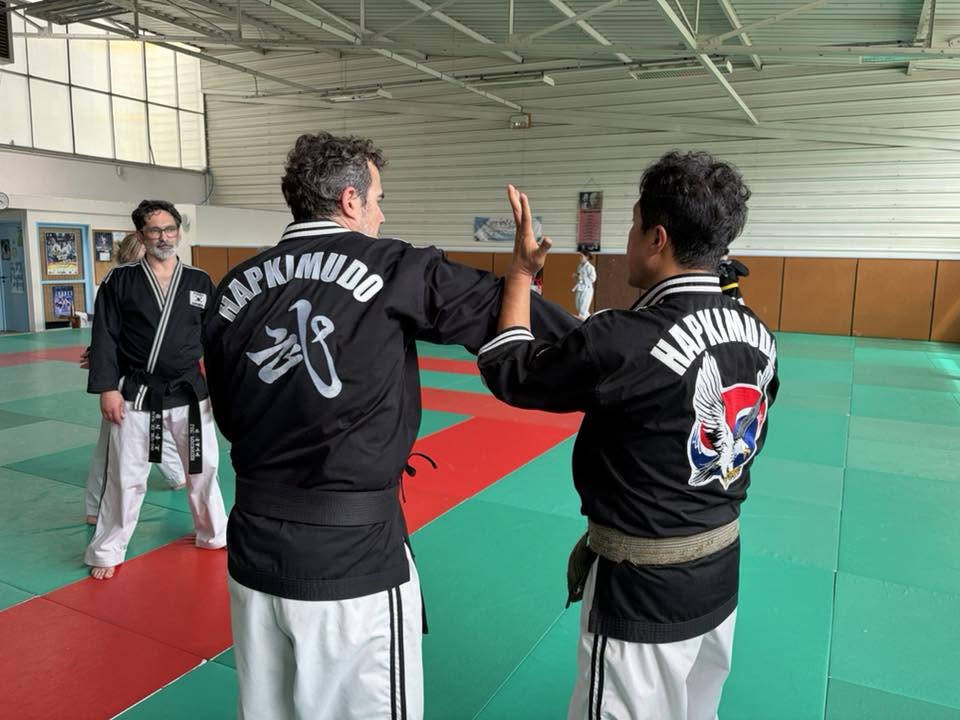 Stage hapkido à Douarnenez avec Me Lee 23 & 24 mai 2026