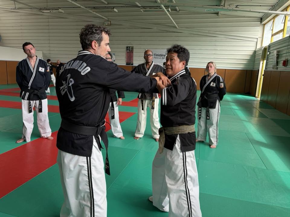 Stage hapkido à Douarnenez avec Me Lee 23 & 24 mai 2026