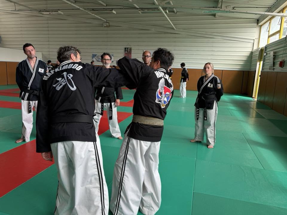 Stage hapkido à Douarnenez avec Me Lee 23 & 24 mai 2026