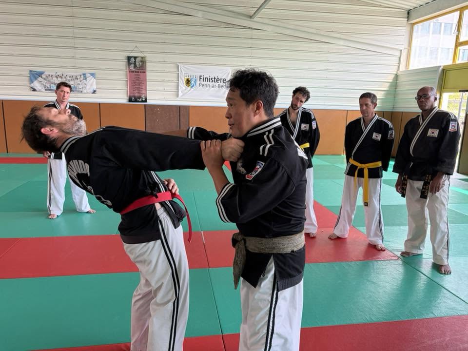 Stage hapkido à Douarnenez avec Me Lee 23 & 24 mai 2026