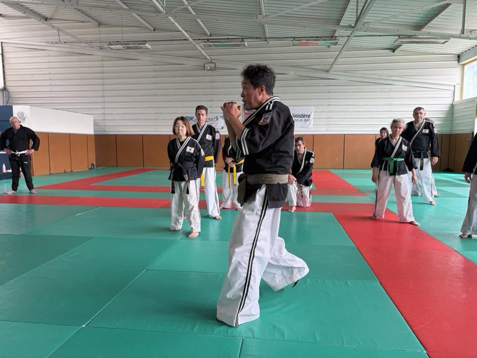 Stage hapkido à Douarnenez avec Me Lee 23 & 24 mai 2026