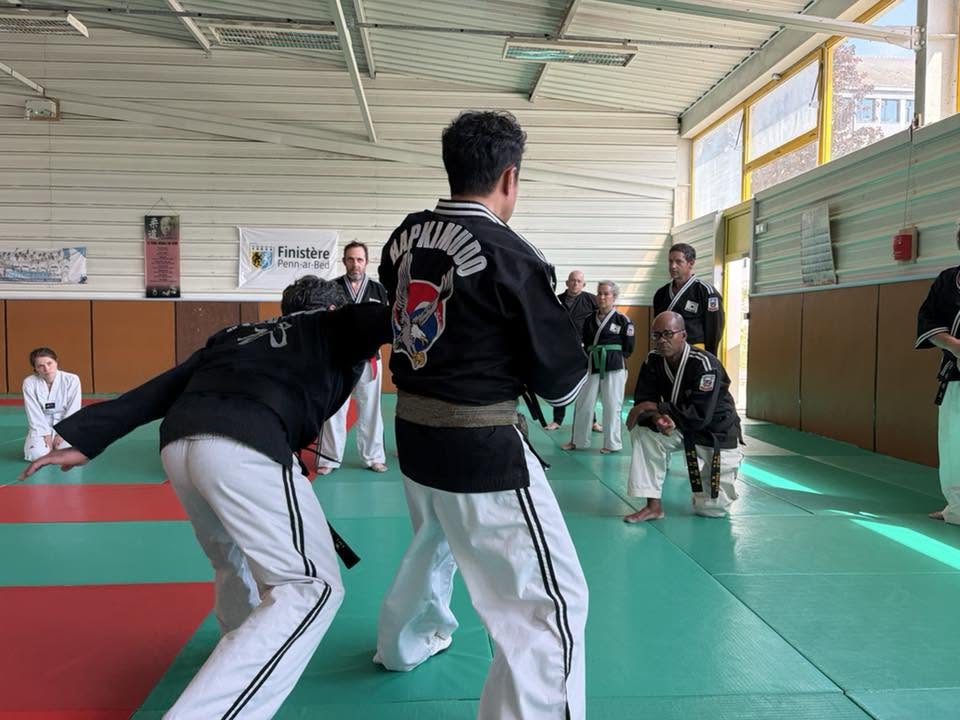 Stage hapkido à Douarnenez avec Me Lee 23 & 24 mai 2026