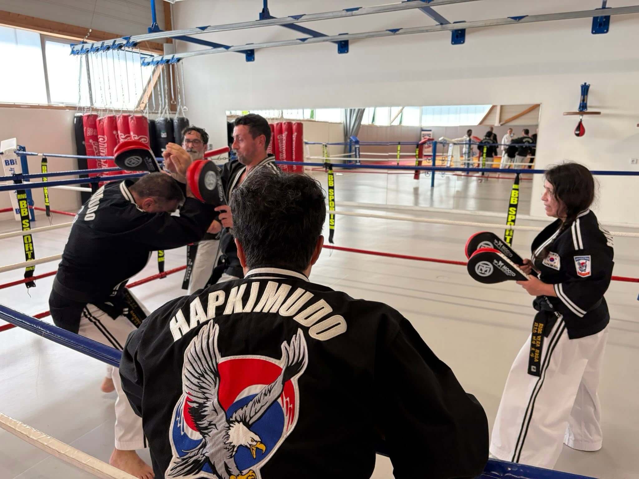 Stage hapkido à Douarnenez avec Me Lee 23 & 24 mai 2026
