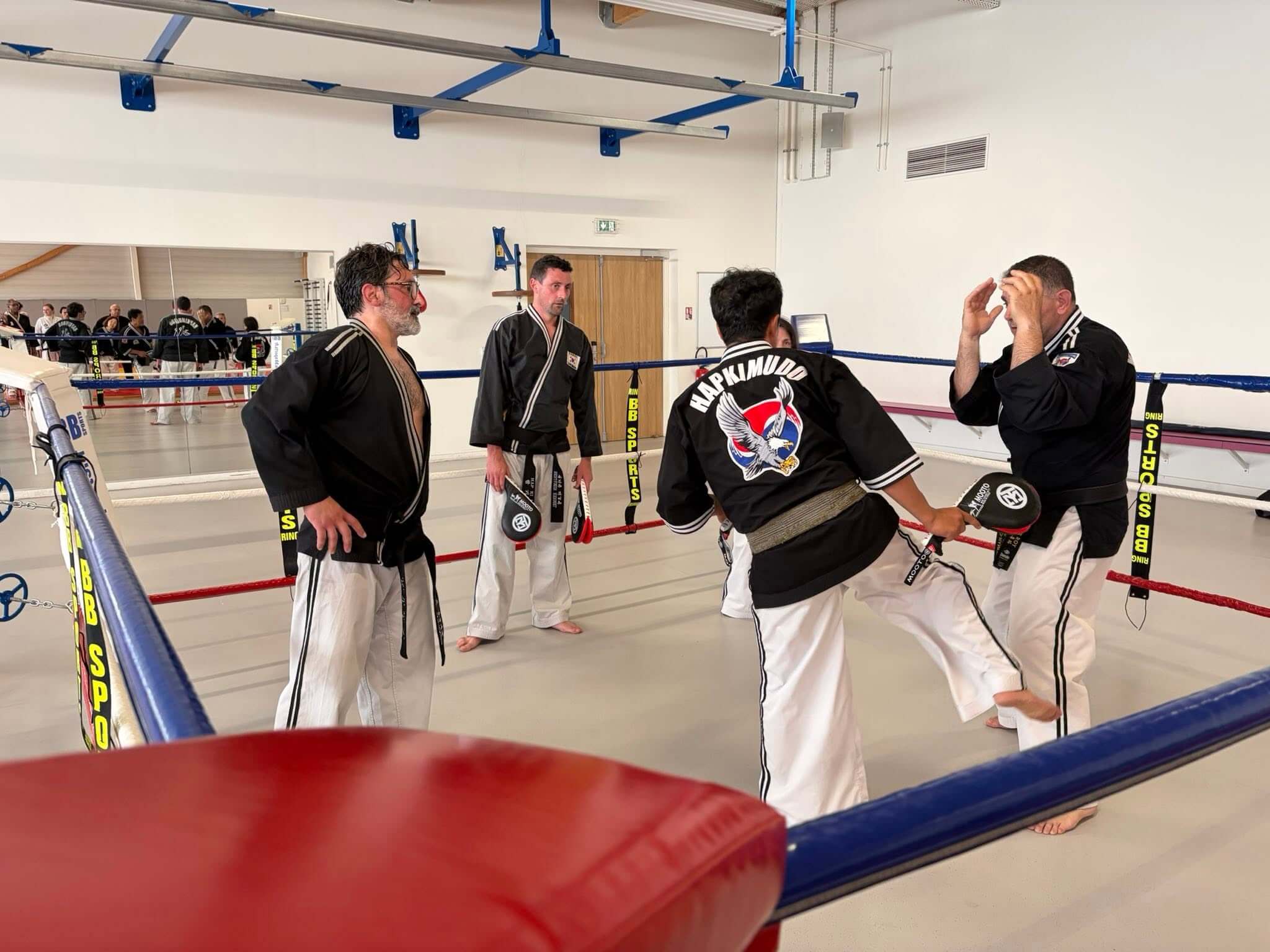 Stage hapkido à Douarnenez avec Me Lee 23 & 24 mai 2026
