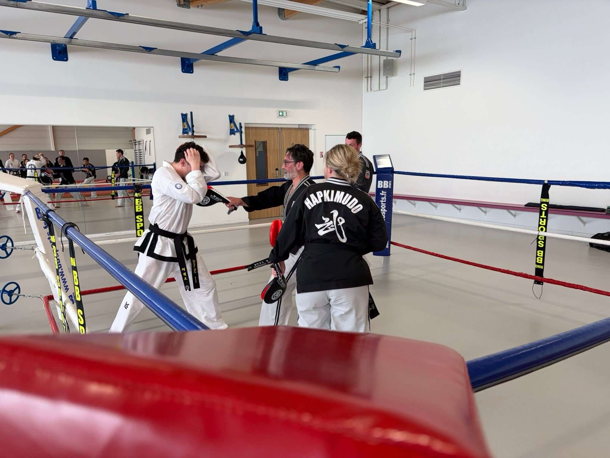 Stage hapkido à Douarnenez avec Me Lee 23 & 24 mai 2026