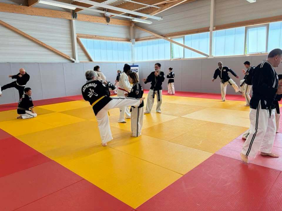 Stage hapkido à Douarnenez avec Me Lee 23 & 24 mai 2026