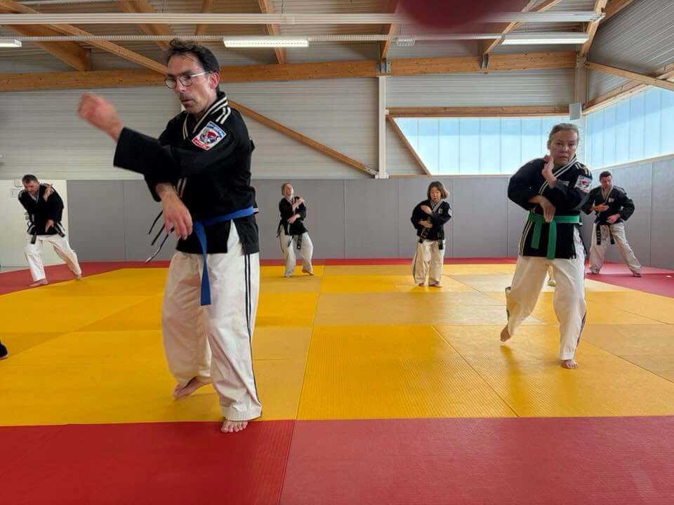 Stage hapkido à Douarnenez avec Me Lee 23 & 24 mai 2026