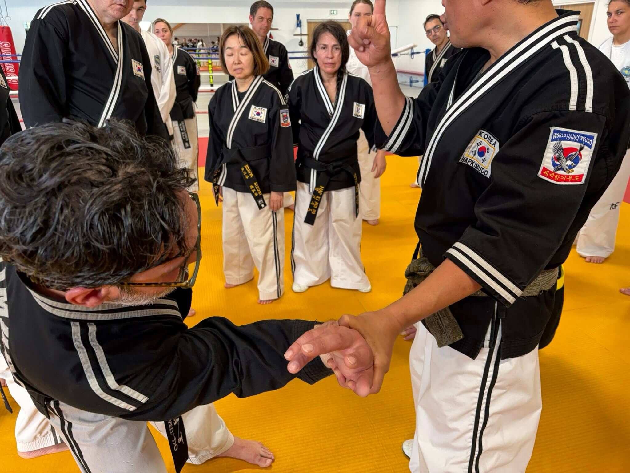Stage hapkido à Douarnenez avec Me Lee 23 & 24 mai 2026