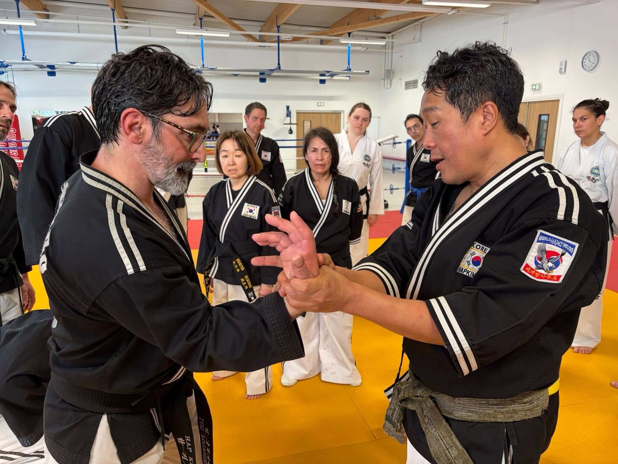 Stage hapkido à Douarnenez avec Me Lee 23 & 24 mai 2026