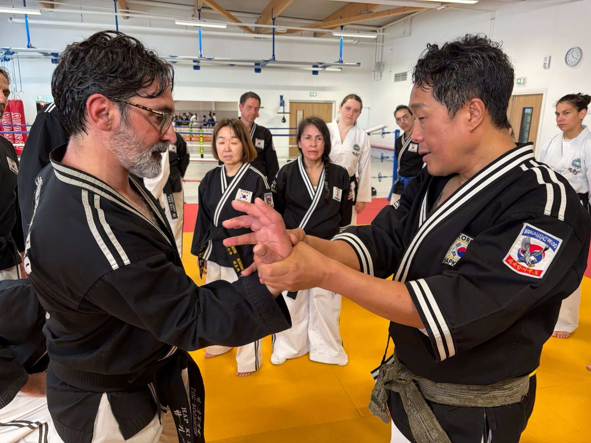 Stage hapkido à Douarnenez avec Me Lee 23 & 24 mai 2026