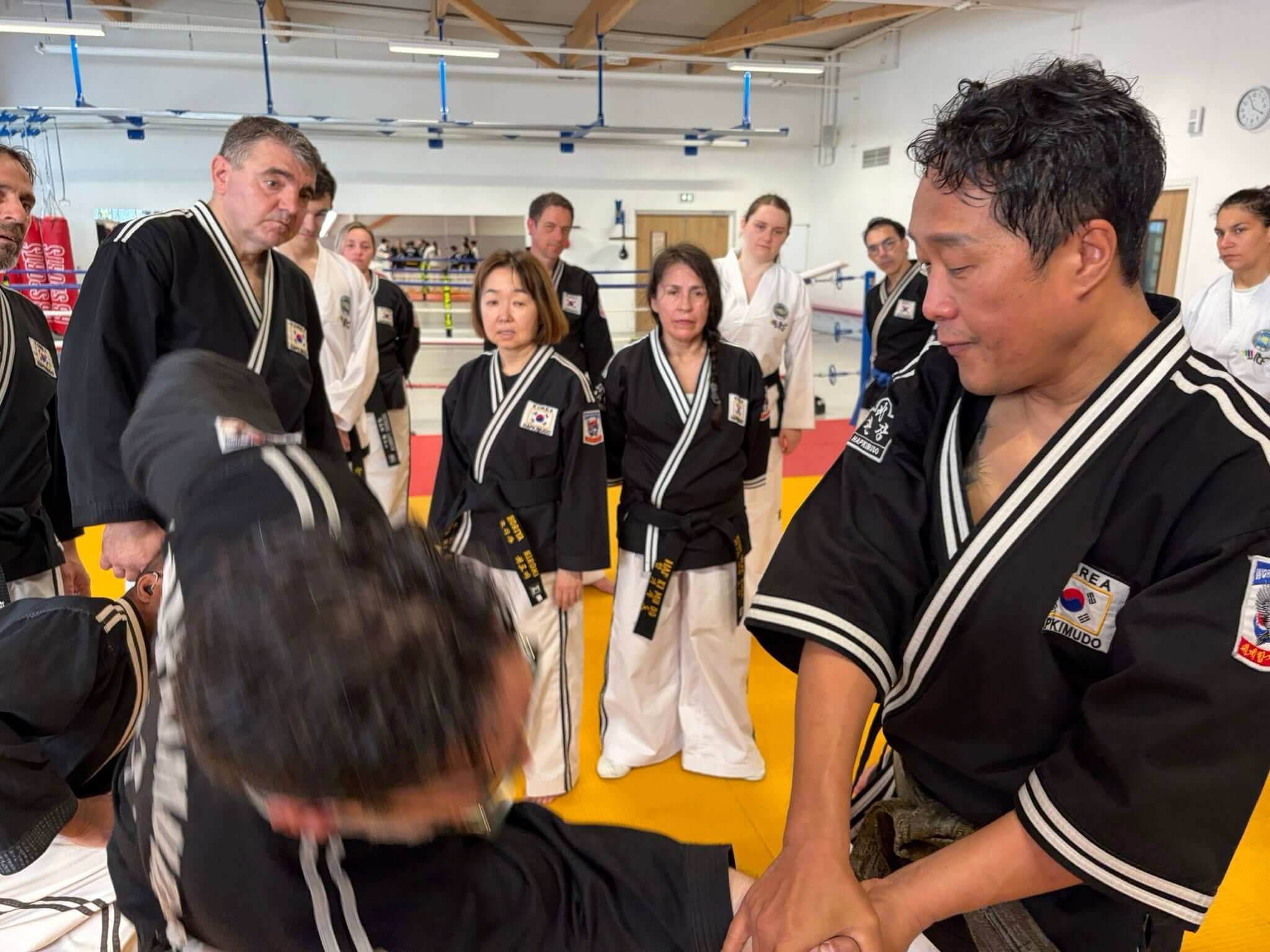 Stage hapkido à Douarnenez avec Me Lee 23 & 24 mai 2026
