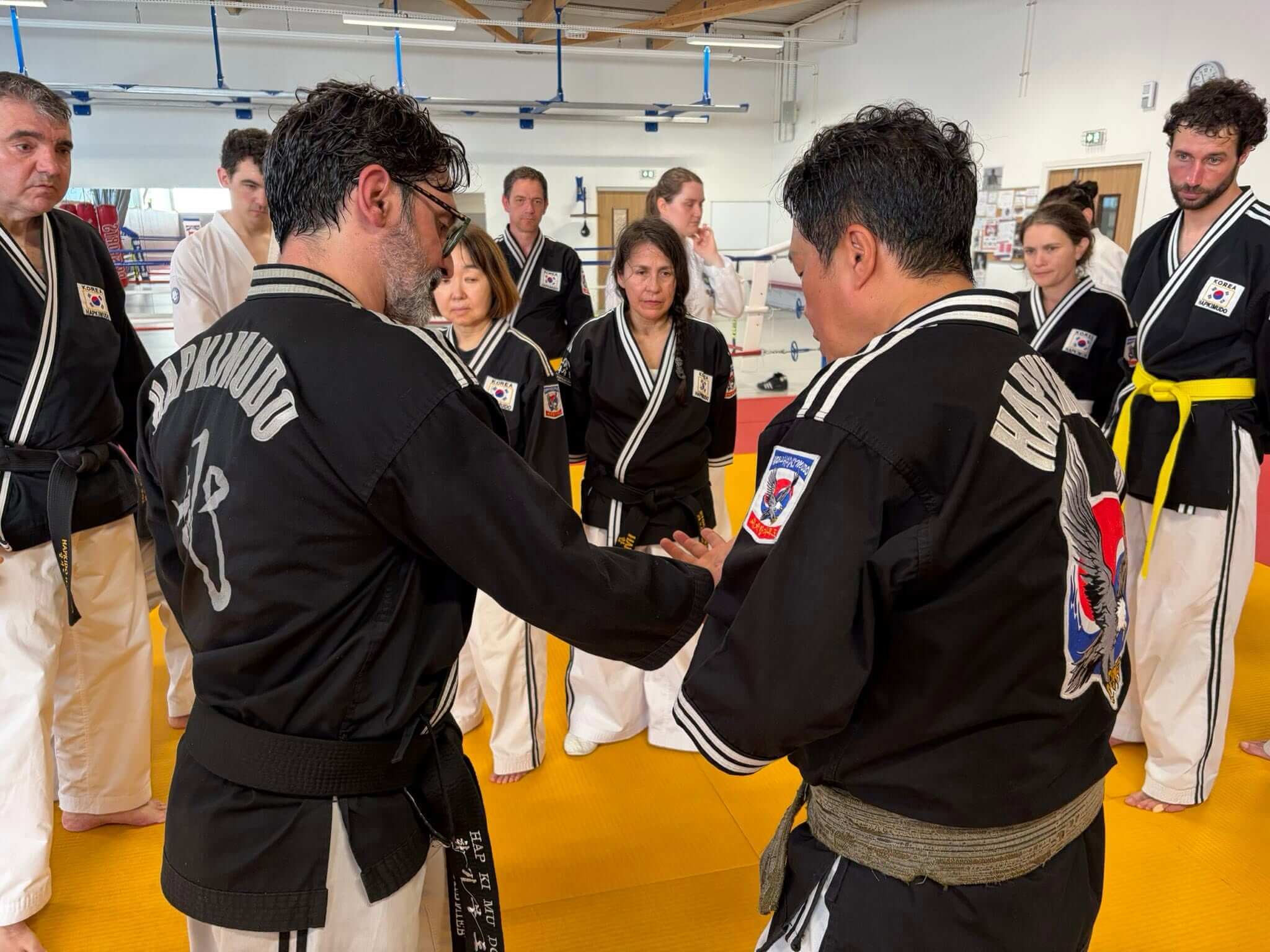 Stage hapkido à Douarnenez avec Me Lee 23 & 24 mai 2026
