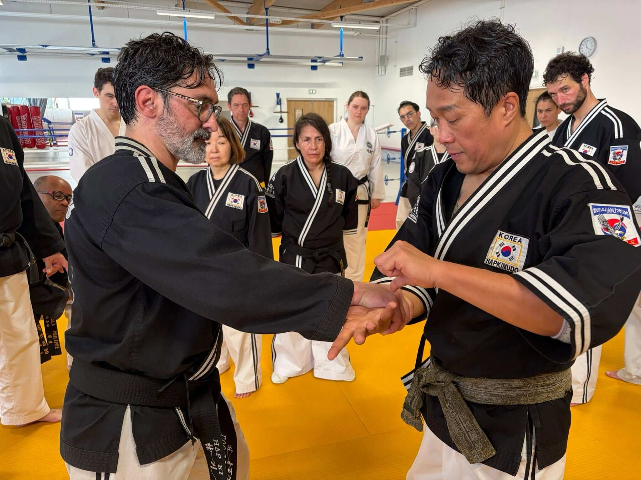 Stage hapkido à Douarnenez avec Me Lee 23 & 24 mai 2026