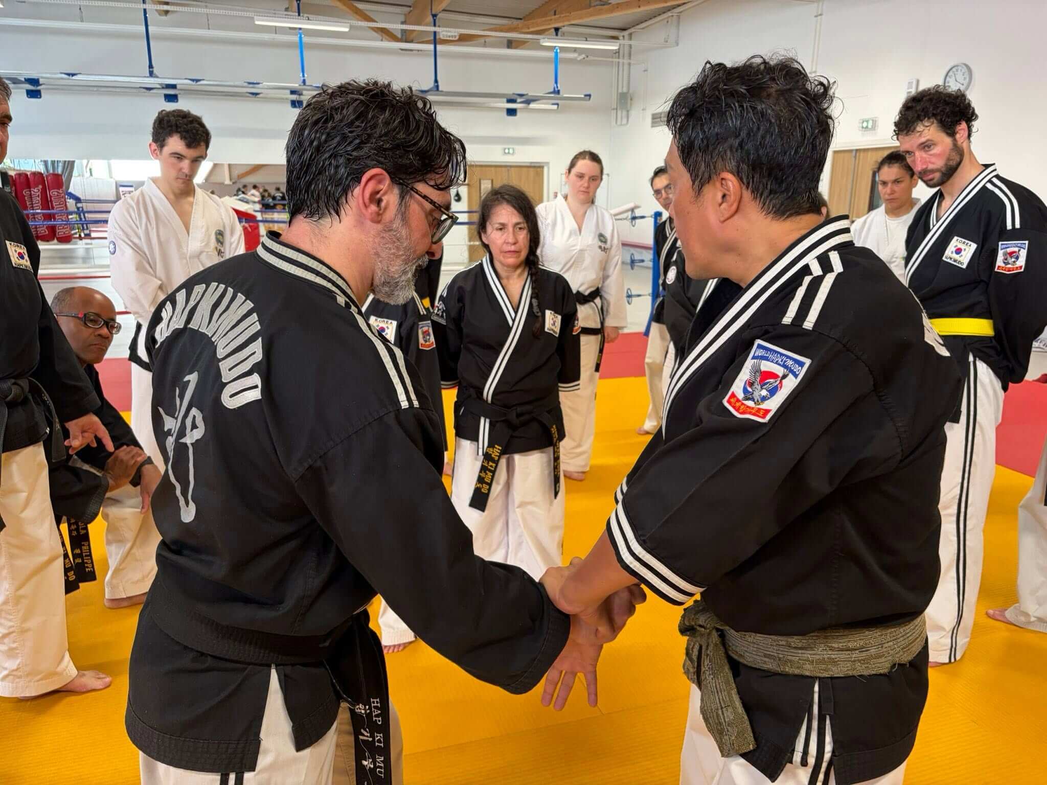 Stage hapkido à Douarnenez avec Me Lee 23 & 24 mai 2026