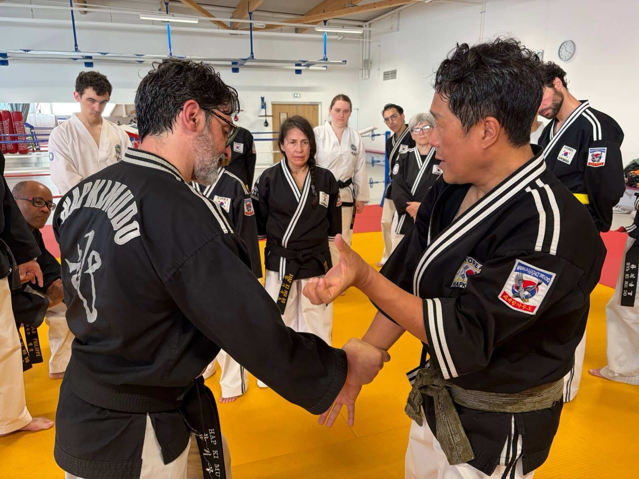 Stage hapkido à Douarnenez avec Me Lee 23 & 24 mai 2026