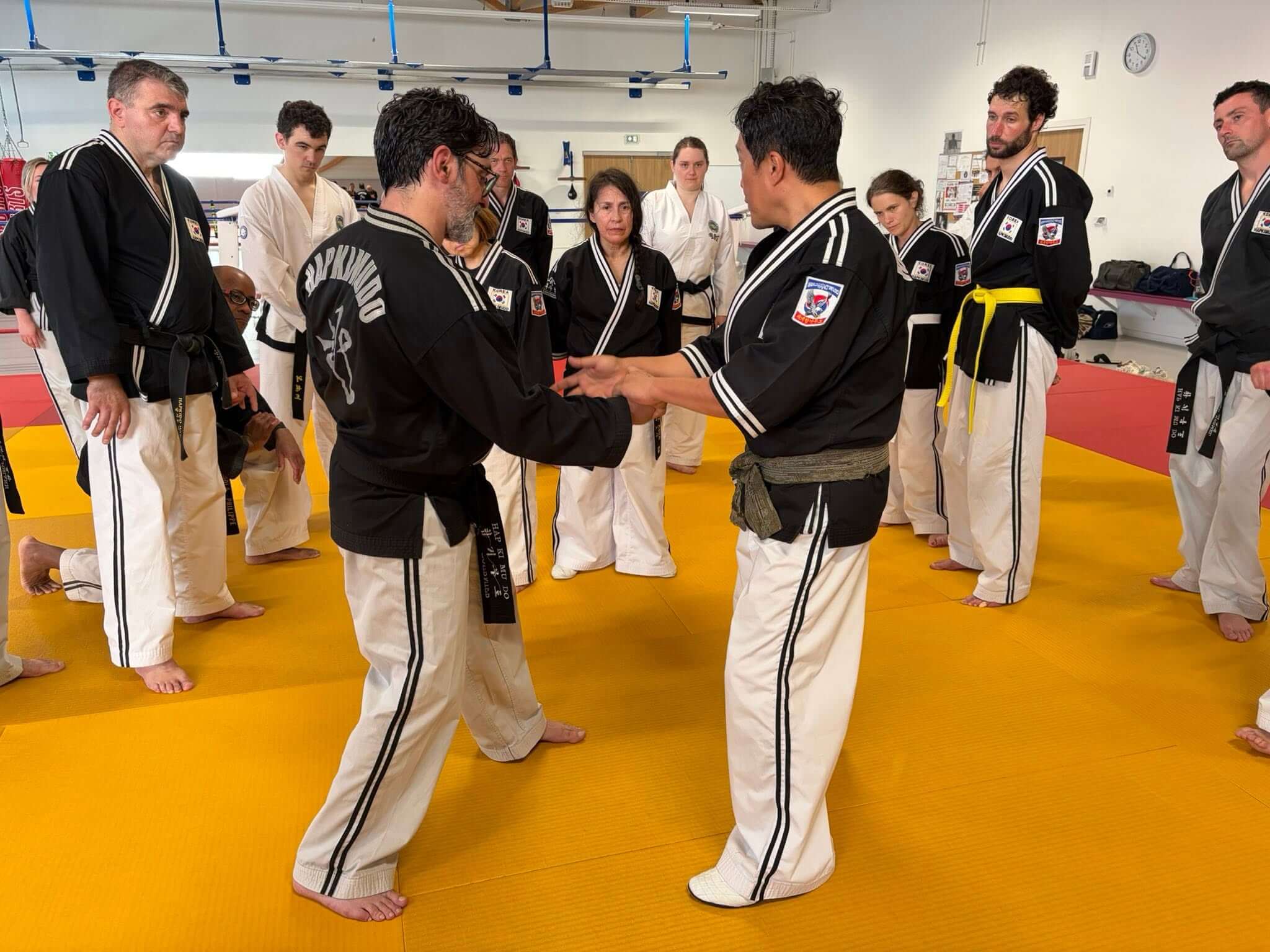 Stage hapkido à Douarnenez avec Me Lee 23 & 24 mai 2026
