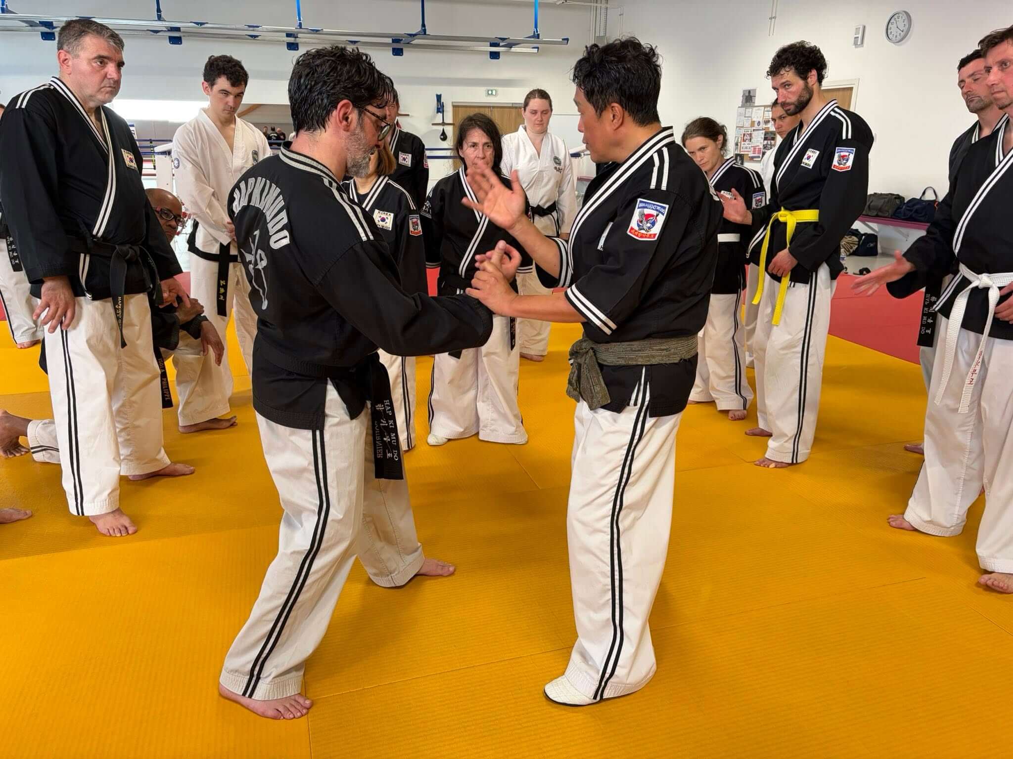 Stage hapkido à Douarnenez avec Me Lee 23 & 24 mai 2026