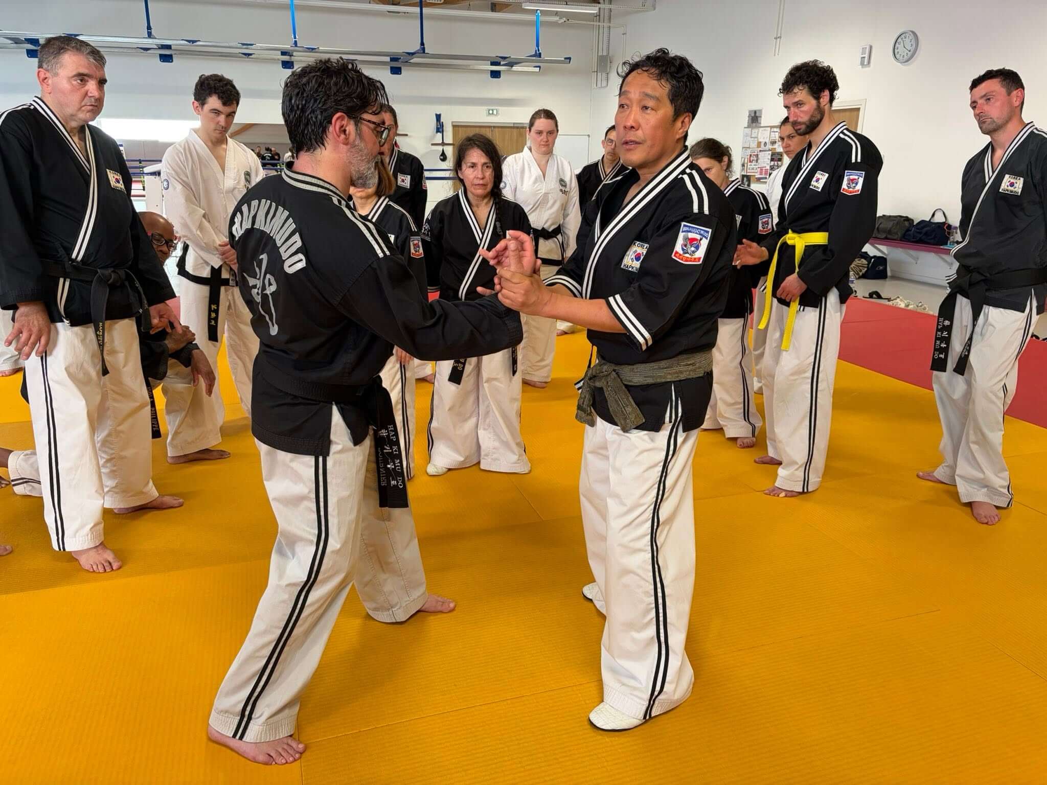 Stage hapkido à Douarnenez avec Me Lee 23 & 24 mai 2026