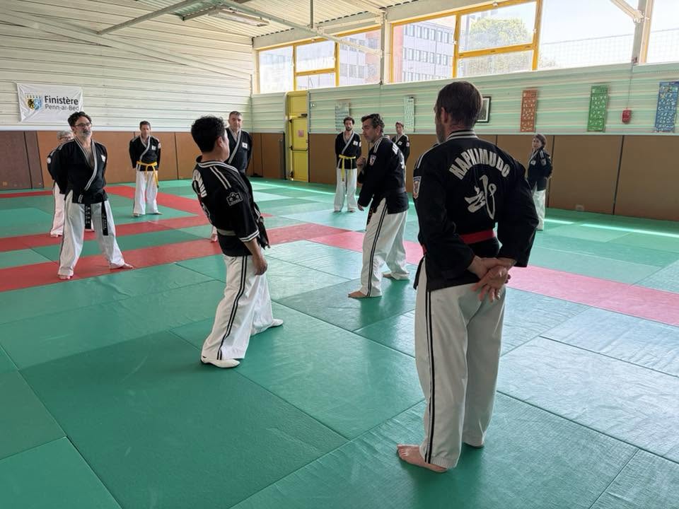 Stage hapkido à Douarnenez avec Me Lee 23 & 24 mai 2026