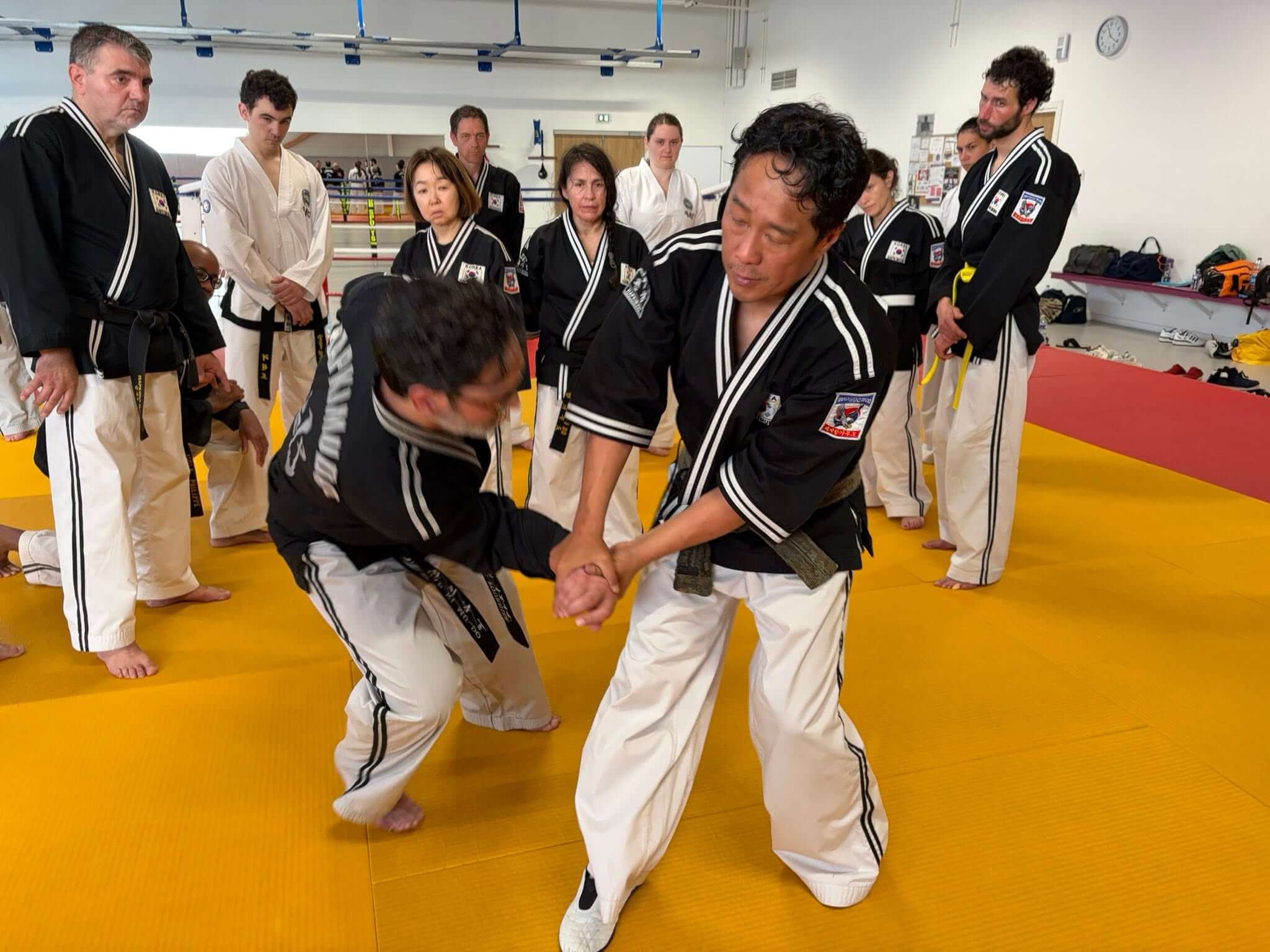Stage hapkido à Douarnenez avec Me Lee 23 & 24 mai 2026
