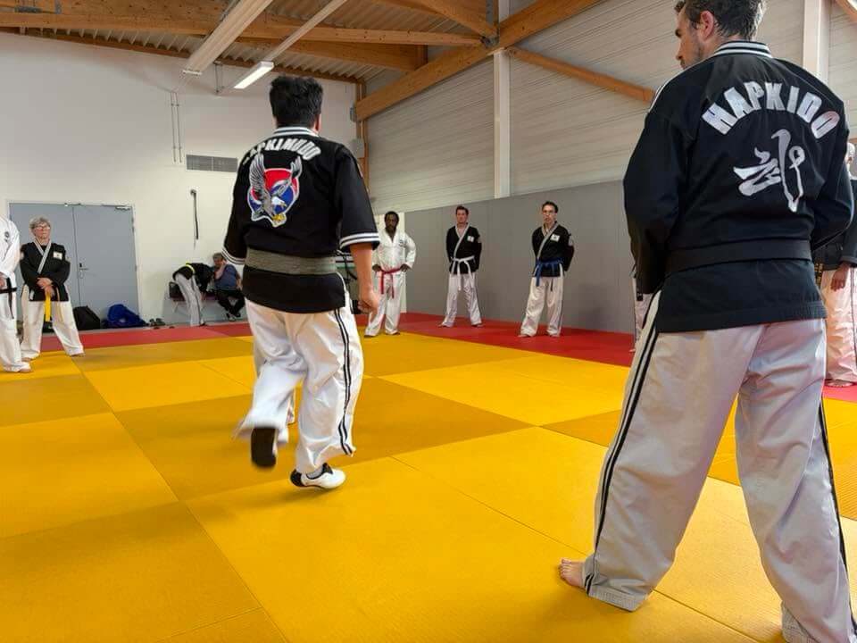 Stage hapkido à Douarnenez avec Me Lee 23 & 24 mai 2026