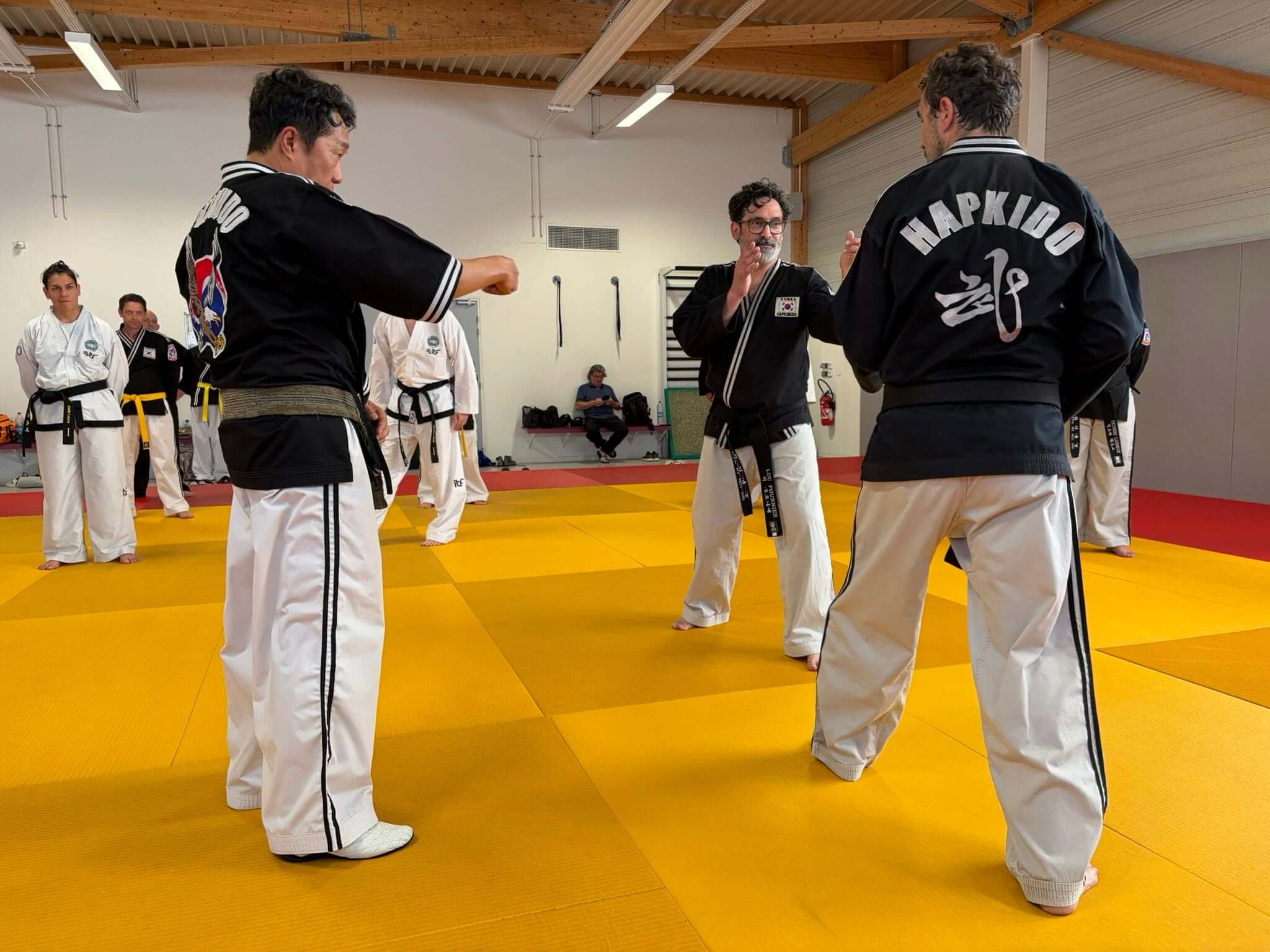 Stage hapkido à Douarnenez avec Me Lee 23 & 24 mai 2026