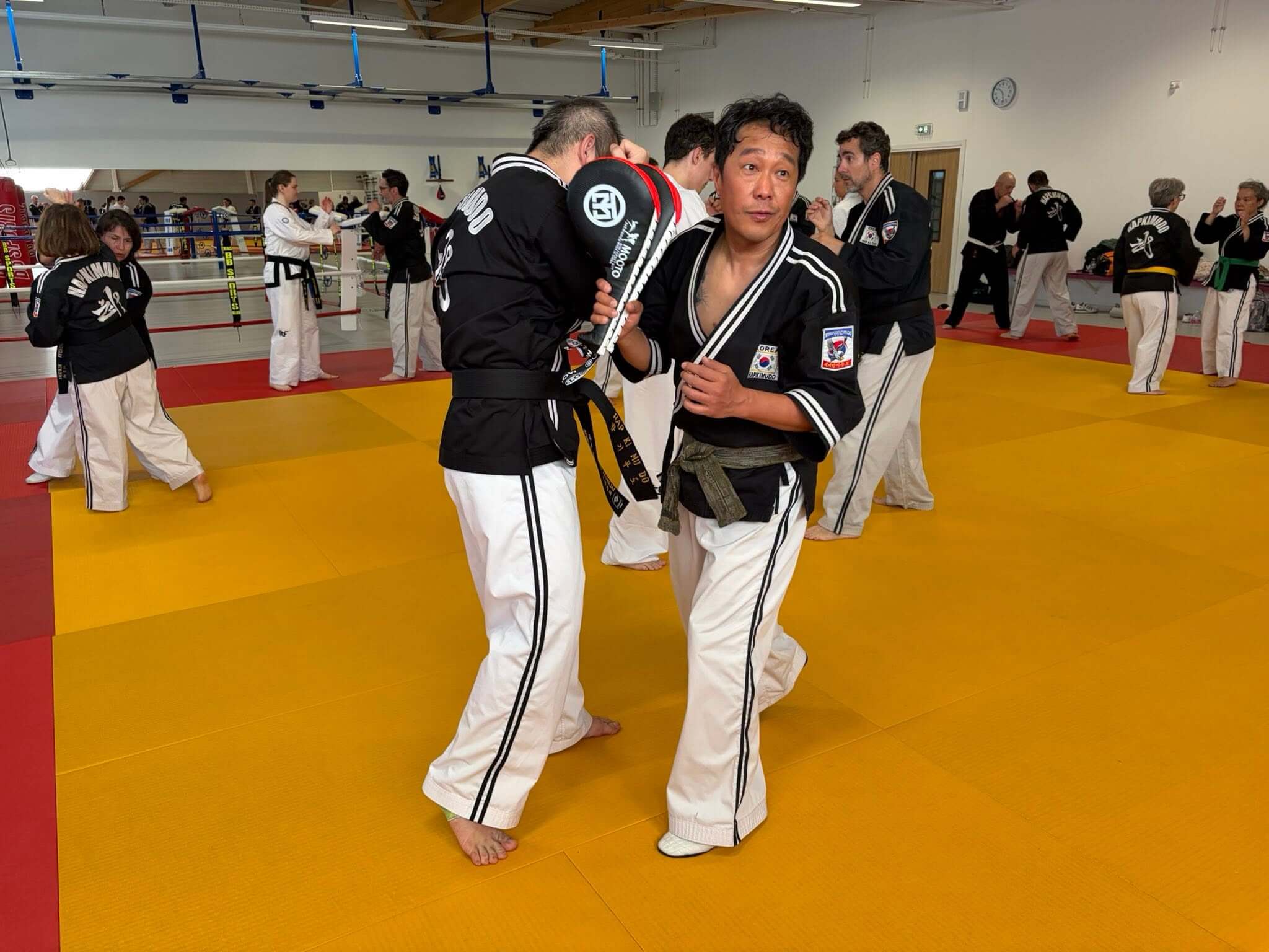 Stage hapkido à Douarnenez avec Me Lee 23 & 24 mai 2026