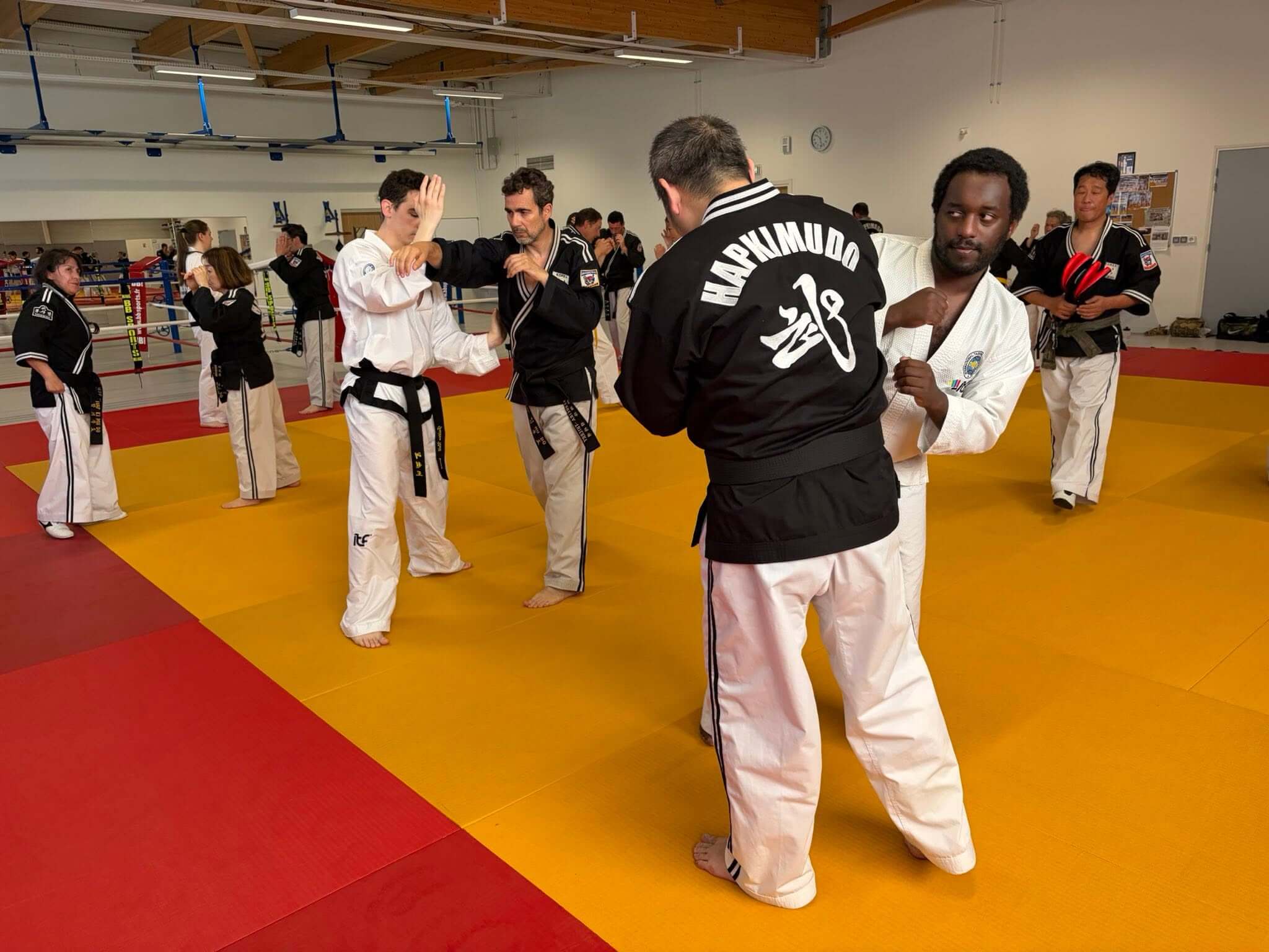 Stage hapkido à Douarnenez avec Me Lee 23 & 24 mai 2026