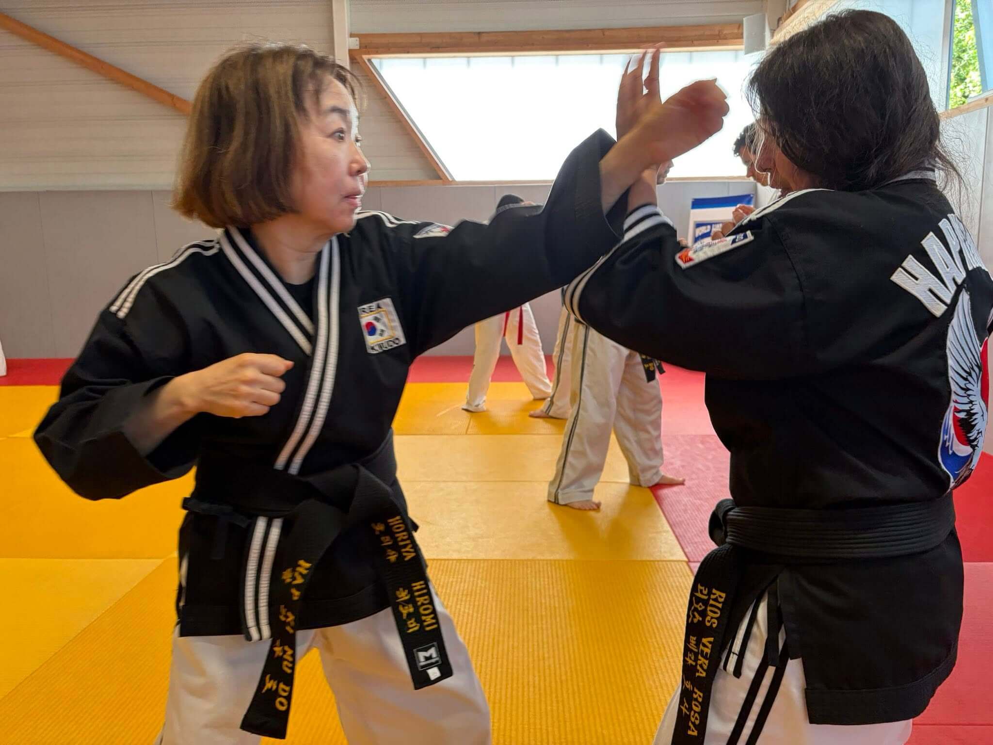 Stage hapkido à Douarnenez avec Me Lee 23 & 24 mai 2026