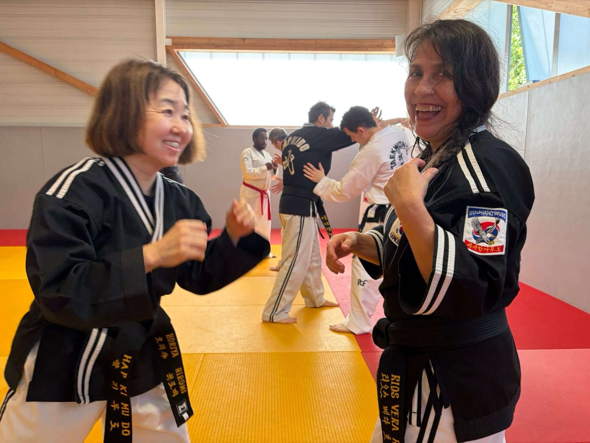 Stage hapkido à Douarnenez avec Me Lee 23 & 24 mai 2026