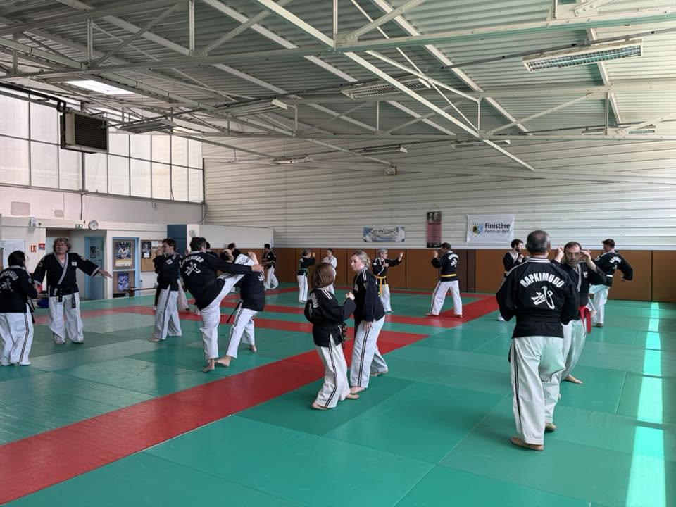 Stage hapkido à Douarnenez avec Me Lee 23 & 24 mai 2026
