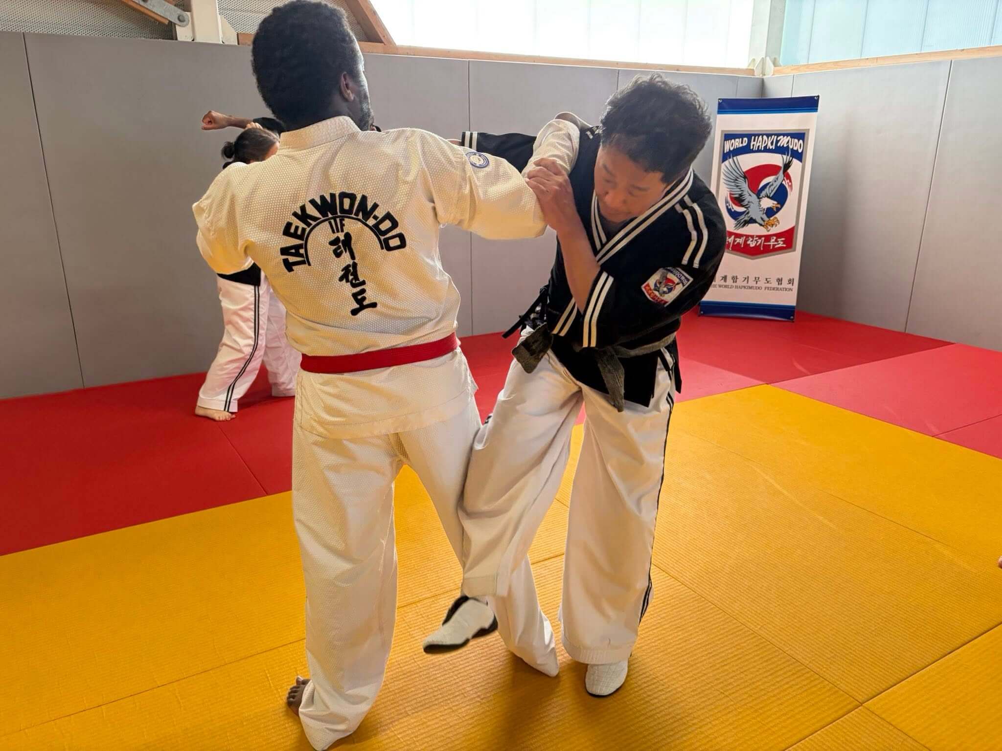 Stage hapkido à Douarnenez avec Me Lee 23 & 24 mai 2026