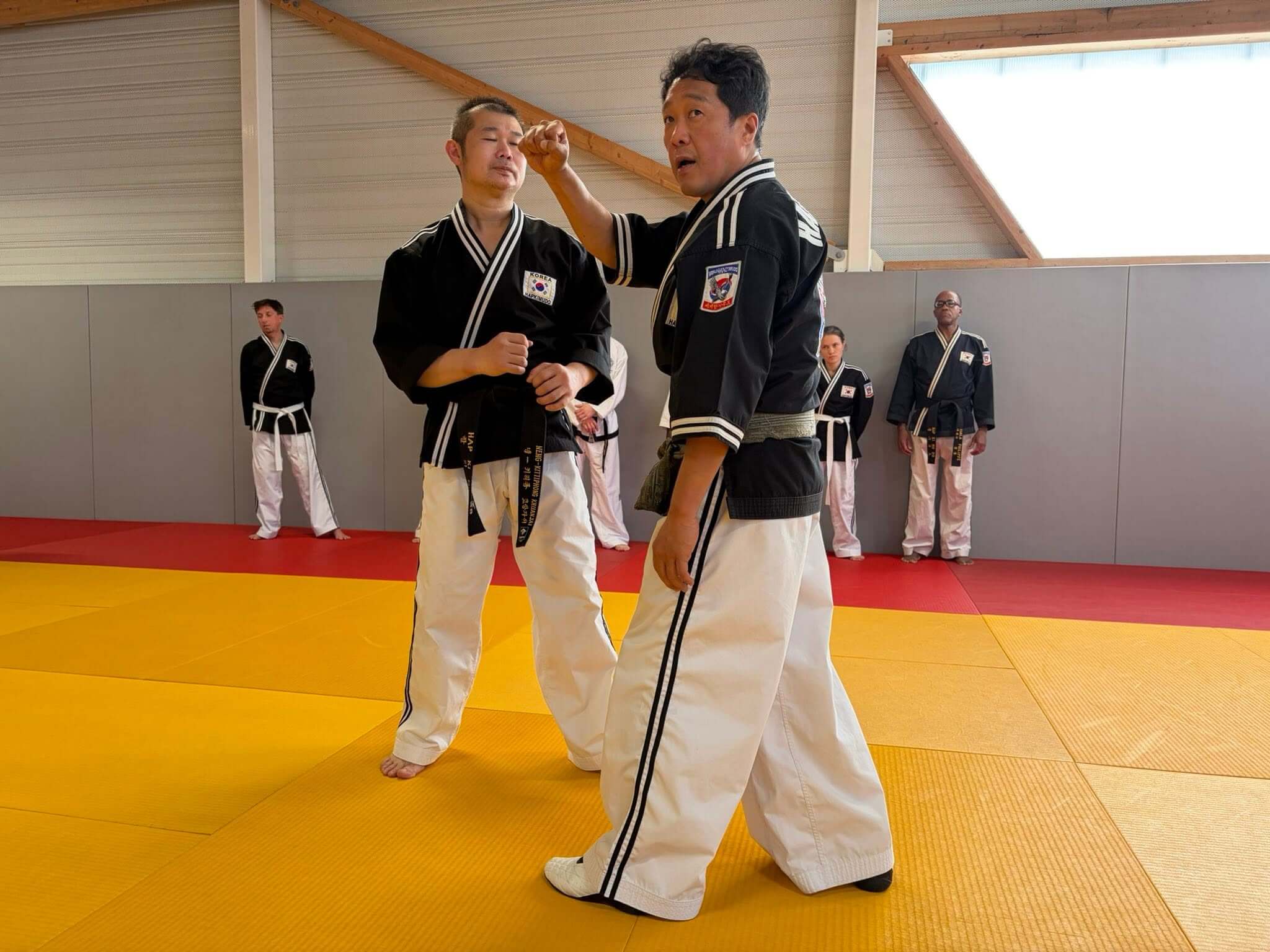 Stage hapkido à Douarnenez avec Me Lee 23 & 24 mai 2026