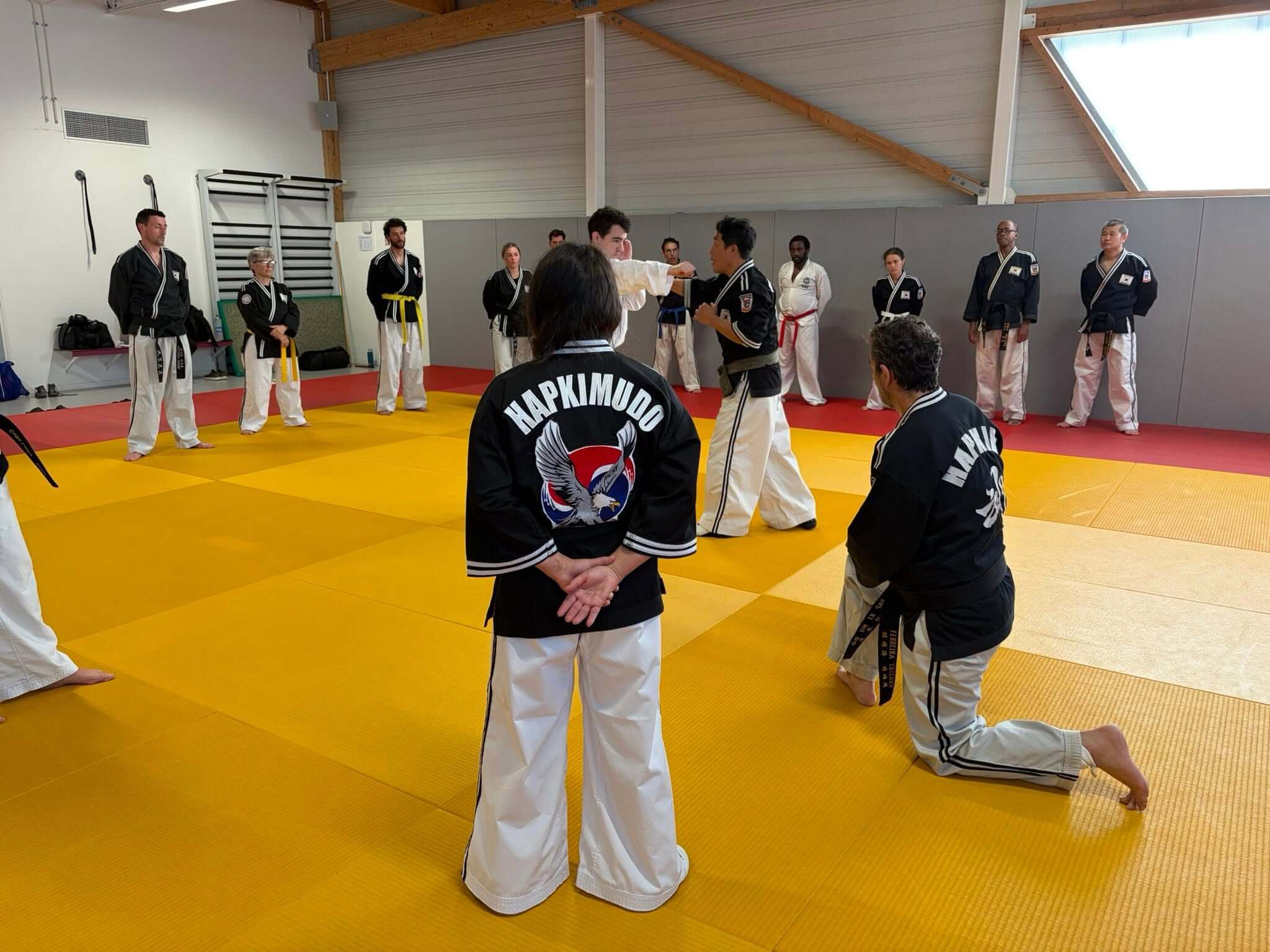 Stage hapkido à Douarnenez avec Me Lee 23 & 24 mai 2026