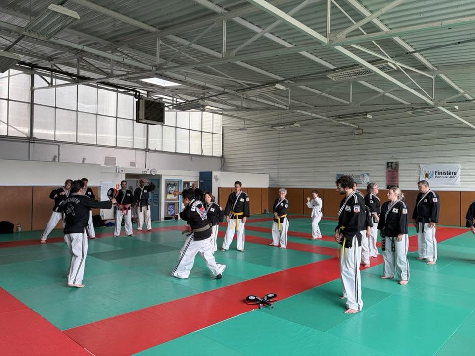 Stage hapkido à Douarnenez avec Me Lee 23 & 24 mai 2026